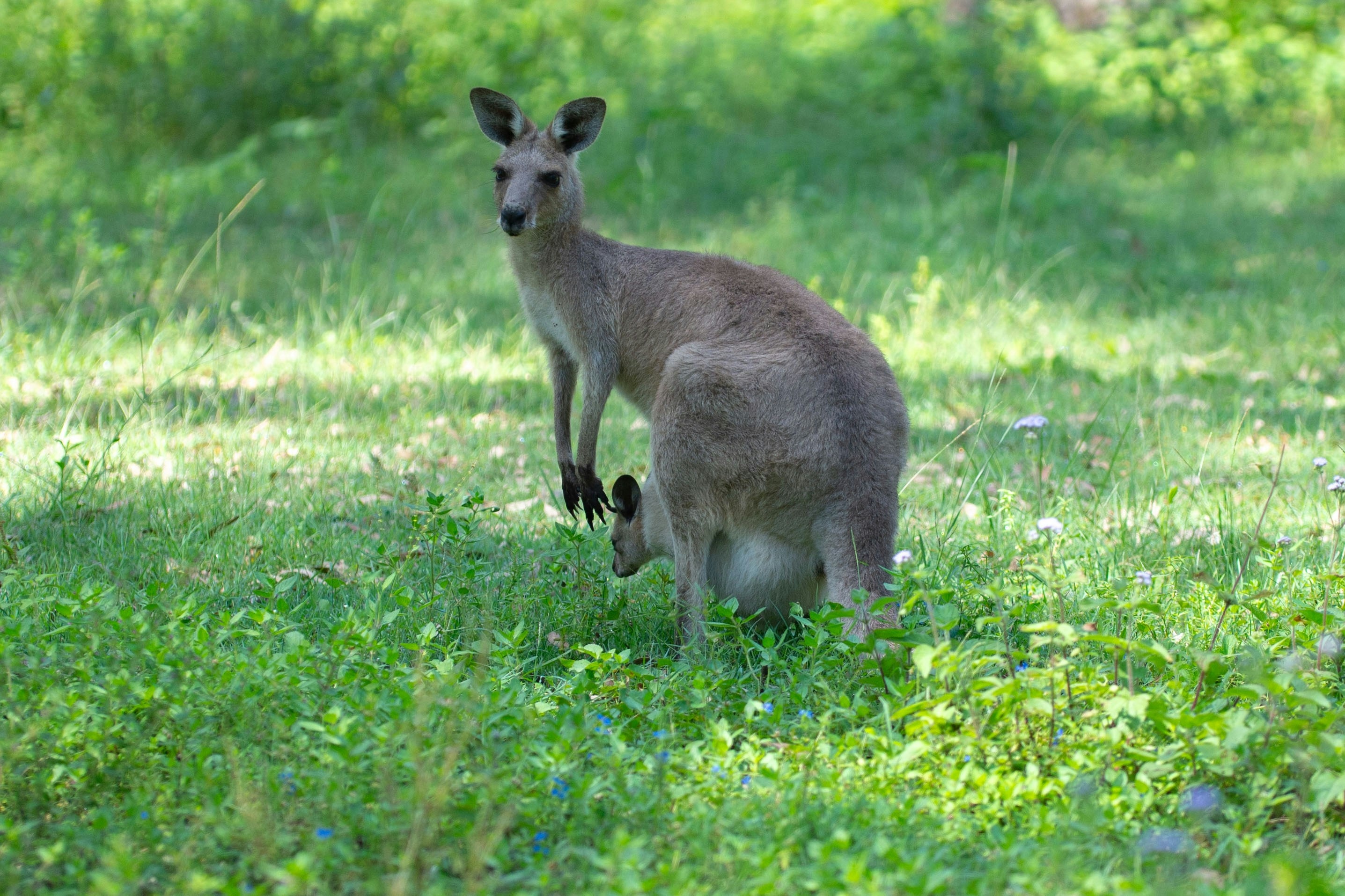 Tour starts and first stop